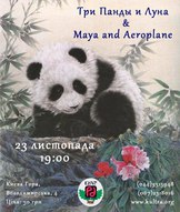 Концерт  білоруського гурту «Three pandas & the moon»