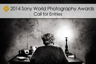 Виставка Sony World Photography Awards 2013