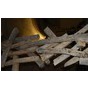 Виставка «Сили древесні»