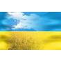 Сьогодні Україна святкує День Державного прапора