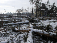 Акція протесту проти знищення урочища Покал в Голосійвському районі міста Києва