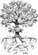 Етно-екологічний табір «Холодний яр»