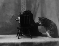 Лекція з історії фотографії: "Поетика фотографії 1920-х – 1930-х років"