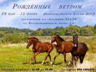 Фотовиставка Олени Шен «Народжені вітром»