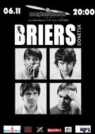 Гурт Briers