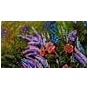 Виставка живописуи Наталії Хубеджевоїї«Яскраві барви життя»