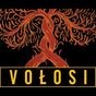 Концерт польського струнного квінтету «VOLOSI»