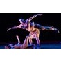 IV Міжнародний фестиваль сучасного танцювального театру Zelyonka-fest 1.4