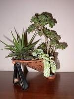 Світлана Малишева.