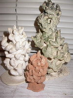 Світлана Малишева. Корали