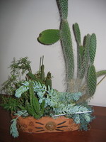 Світлана Малишева. Міні-садок