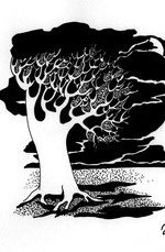 Одинокое дерево