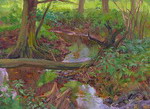 Андрій Говда. Лісовий струмок