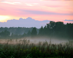 В полі туман