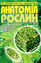 Анатомія рослин. Рослинна клітина, тканини, вегетативні органи